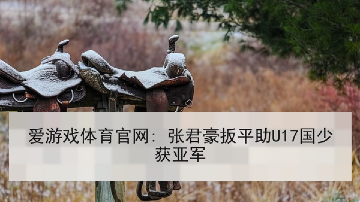 爱游戏体育官网: 张君豪扳平助U17国少获亚军