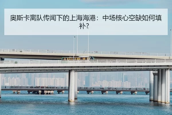 ao-si-ka-li-dui-chuan-wen-xia-de-shang-hai-hai-gang-zhong-chang-he-xin-kong-que-ru-he-tian-bu-2-319.jpg
